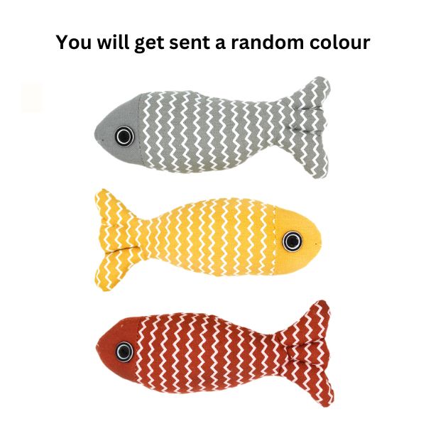 Pet Soft Toy - Fish Colourful image 0