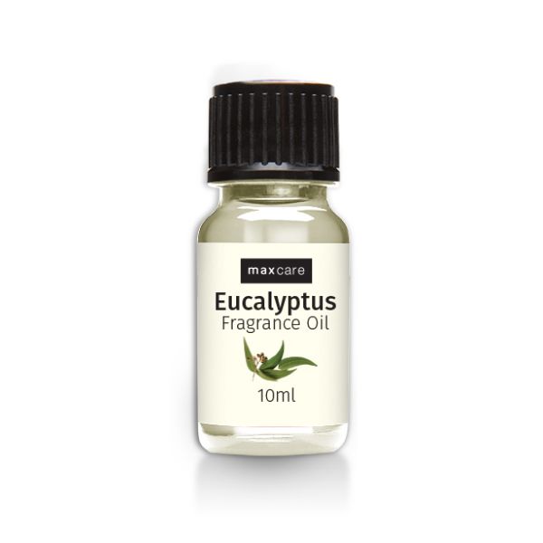 Maxcare Fragrance Oil 10ml Eucalyptus image 0