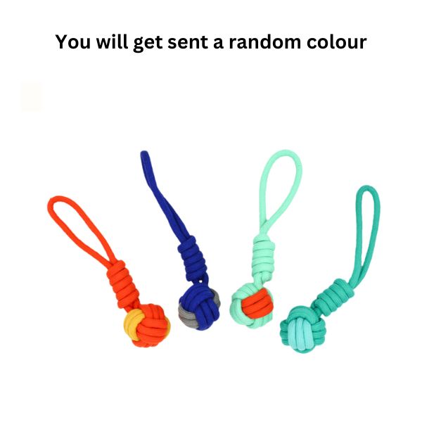 Dog Rope Toy image 0