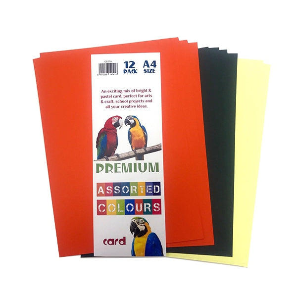 PREMIUM Card A4 12pk Asstd Brights & Pastels image 1