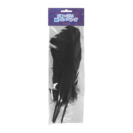 Craft Feathers Quill Black 31cm 3pc image 0