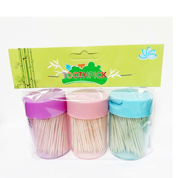 Toothpicks - 2 Coloured Containers image 0
