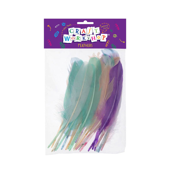 Craft Feathers Pastel Col 15-19cm image 0