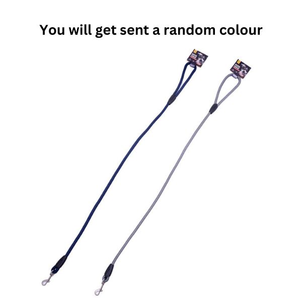 Dog Lead Polyester 2 Assorted Colours Grey & Navy Blue 120 x 1.3 image 1