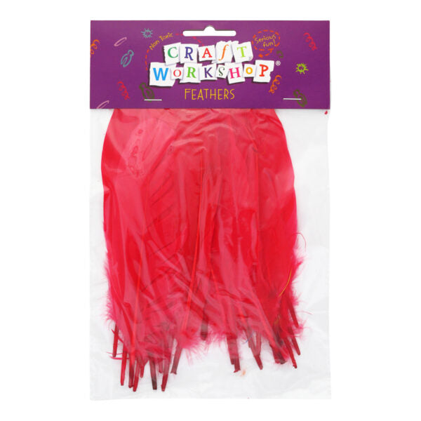 Craft Feathers Red large image 0