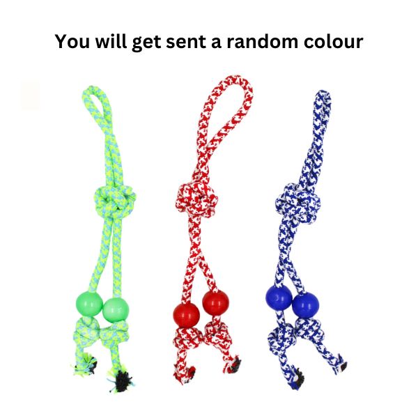 Dog Rope Toy image 0