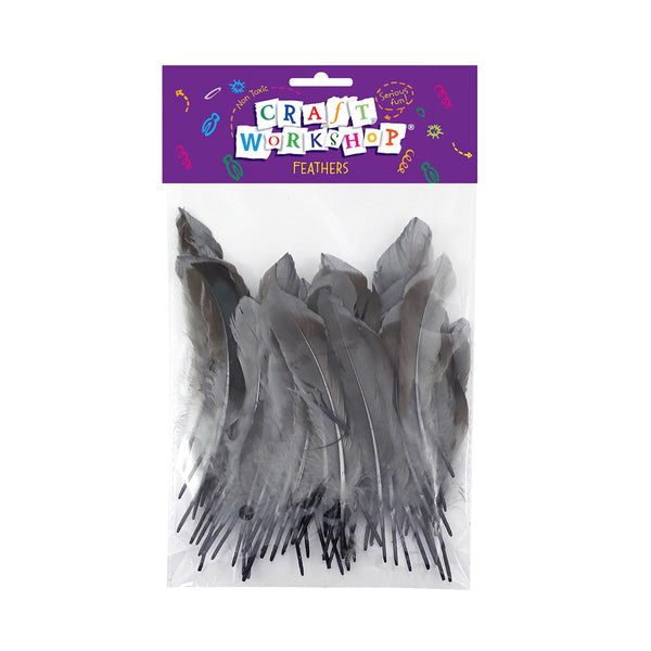 Craft Feather Grey/Blck 12-15cm50pc image 0