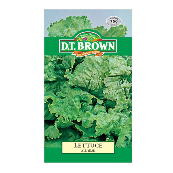 LETTUCE All Year image 0