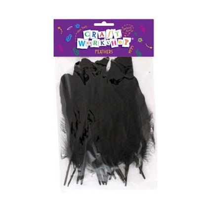 Craft Feathers Black large image 0