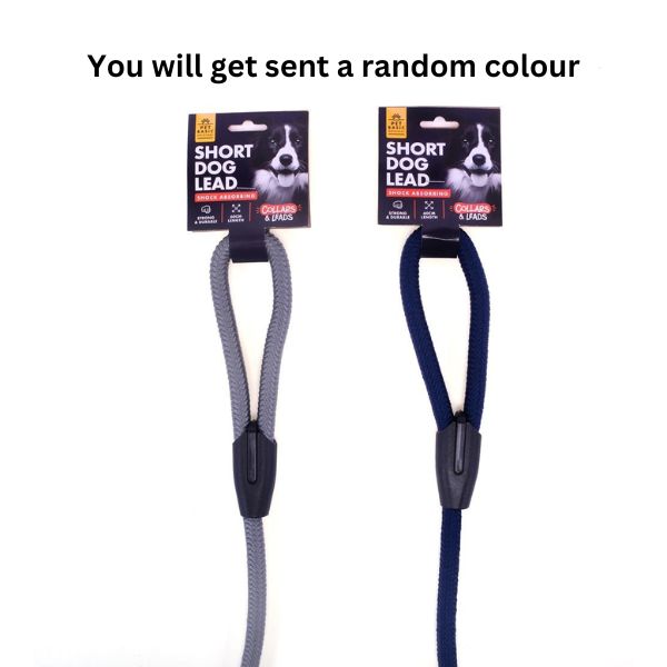 Dog Lead Shock Absorbing 2 Assorted Colours Grey & Navy Blue 60cm image 0