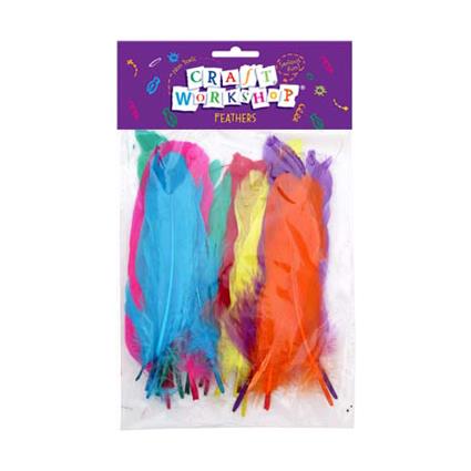 Craft Feathers Asst Col 15-19cm image 0