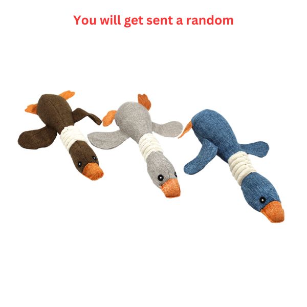 Pet Soft Toy - Ducks image 0
