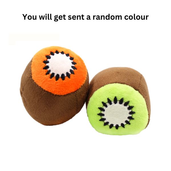 Pet Soft Toy - Kiwi image 0