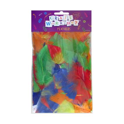 Craft Feathers Colour 16gm image 0