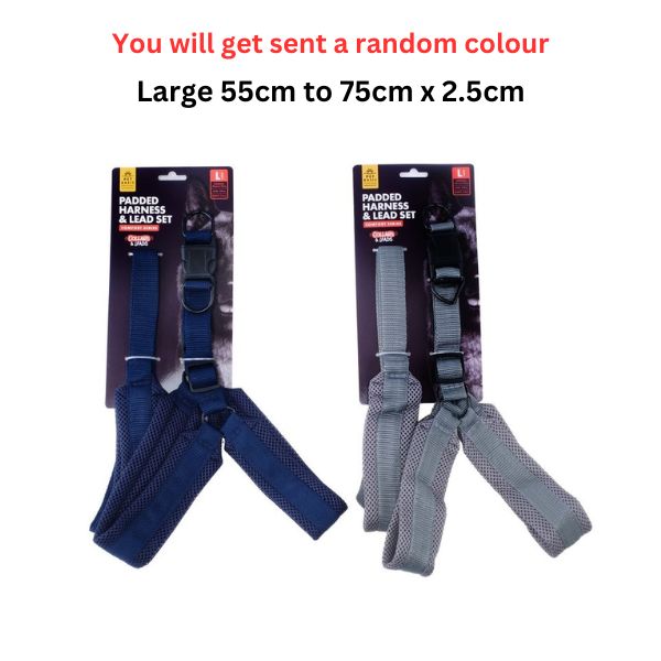 Dog Harness & Lead Set Padded Large 55cm to 75cm x 2.5cm image 0