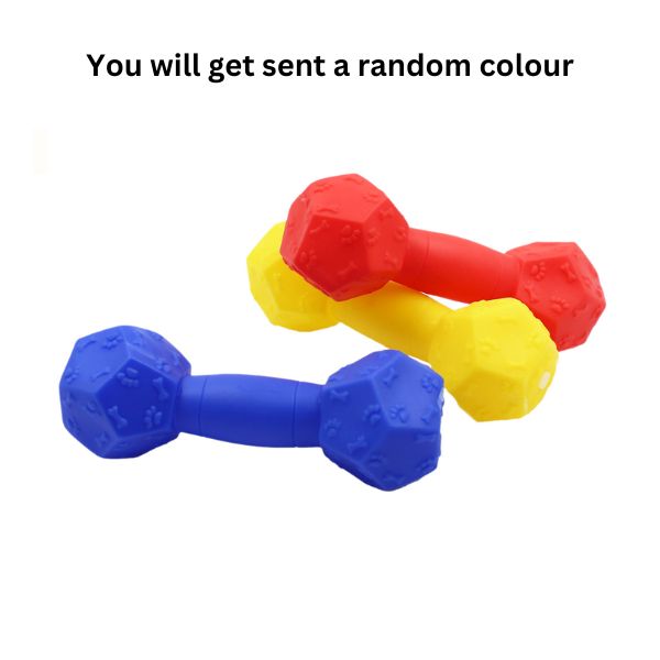 Dog Toy - Bone Shape image 0