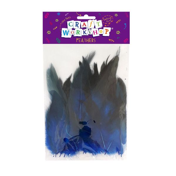 Craft Feathers Blue/Black 12-18cm 5g image 0