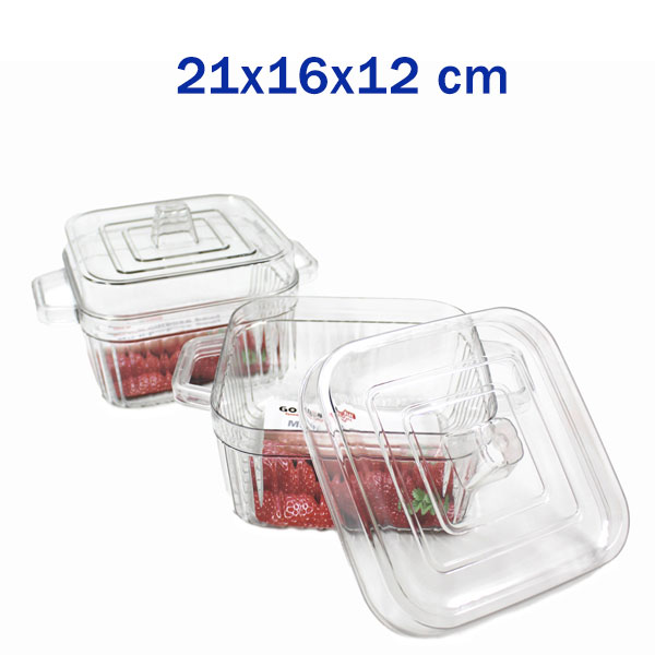 Clear Candy Storage with Lid 21x16x12 image 0