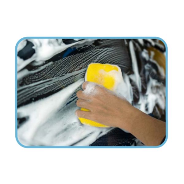 Bug And Tar 2-Sided Sponge image 1