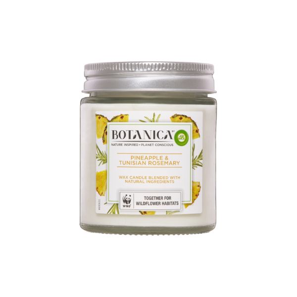 Air Wick 205g Candle Botanica Pineapple and Tunisian Rosemary image 0