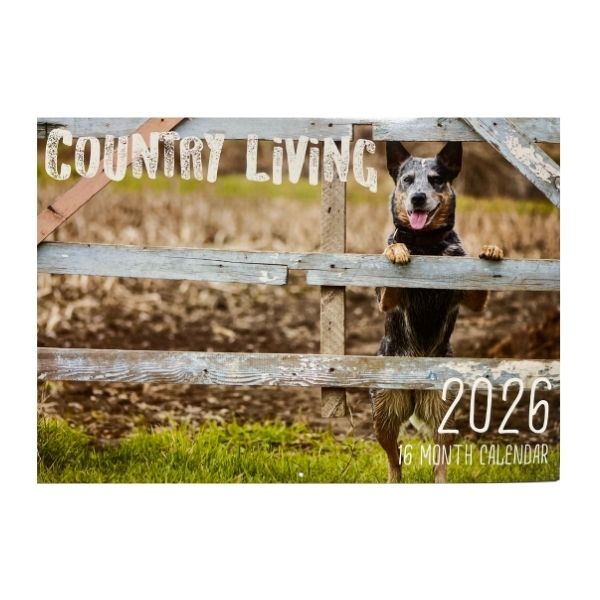 CALENDAR RECTANGLE COUNTRY LIVING FSC MIX 2026