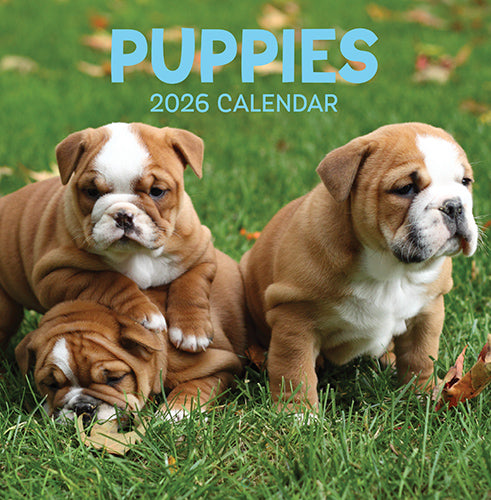 CALENDAR SQUARE PUPPIES FSC MIX 2026