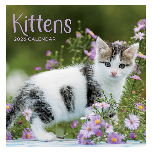 CALENDAR RECTANGLE DOGS FSC MIX 2026