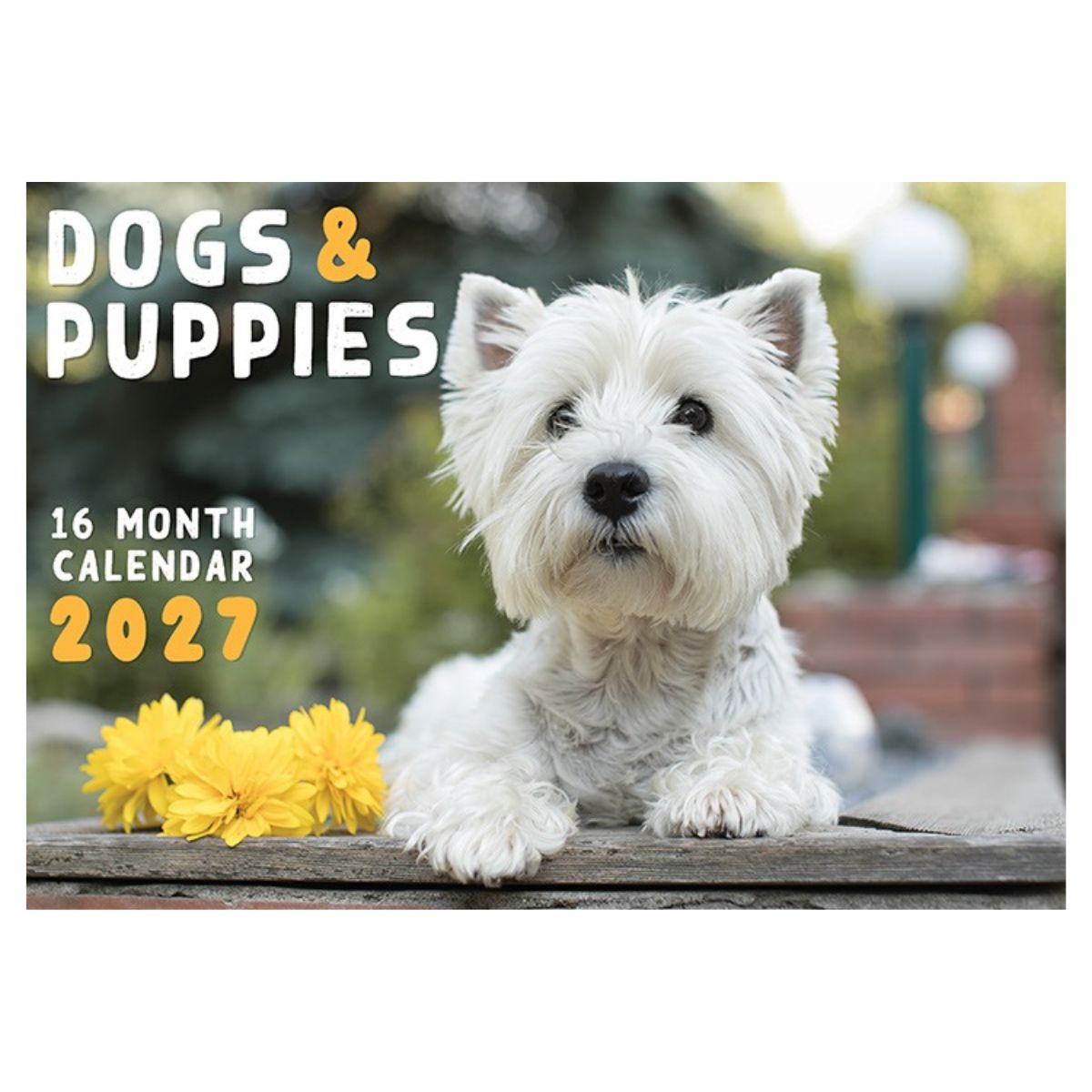 2027 Dogs Rectangle Calendar - FSC Mix