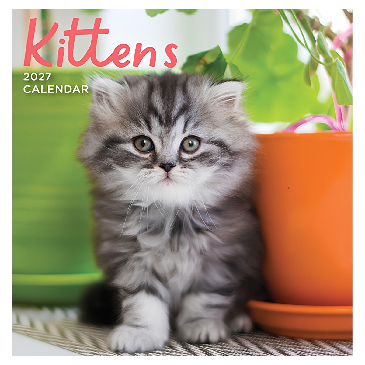 2027 Kittens Square Calendar - FSC Mix