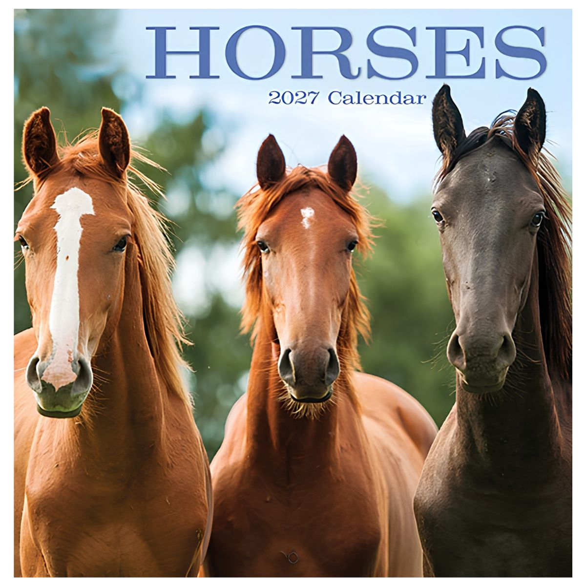 2027 Horses Square Calendar - FSC Mix