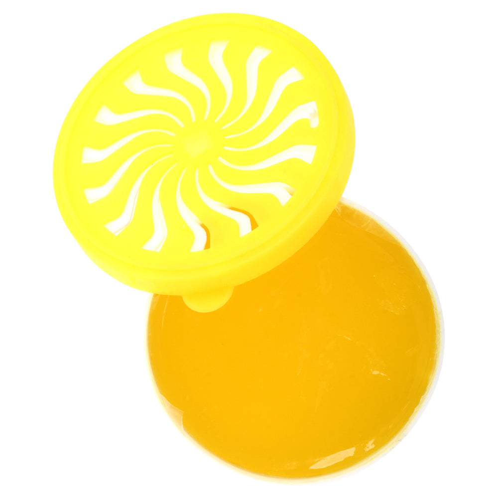 Car Air Freshener with Adjustable Vents 2 Pack