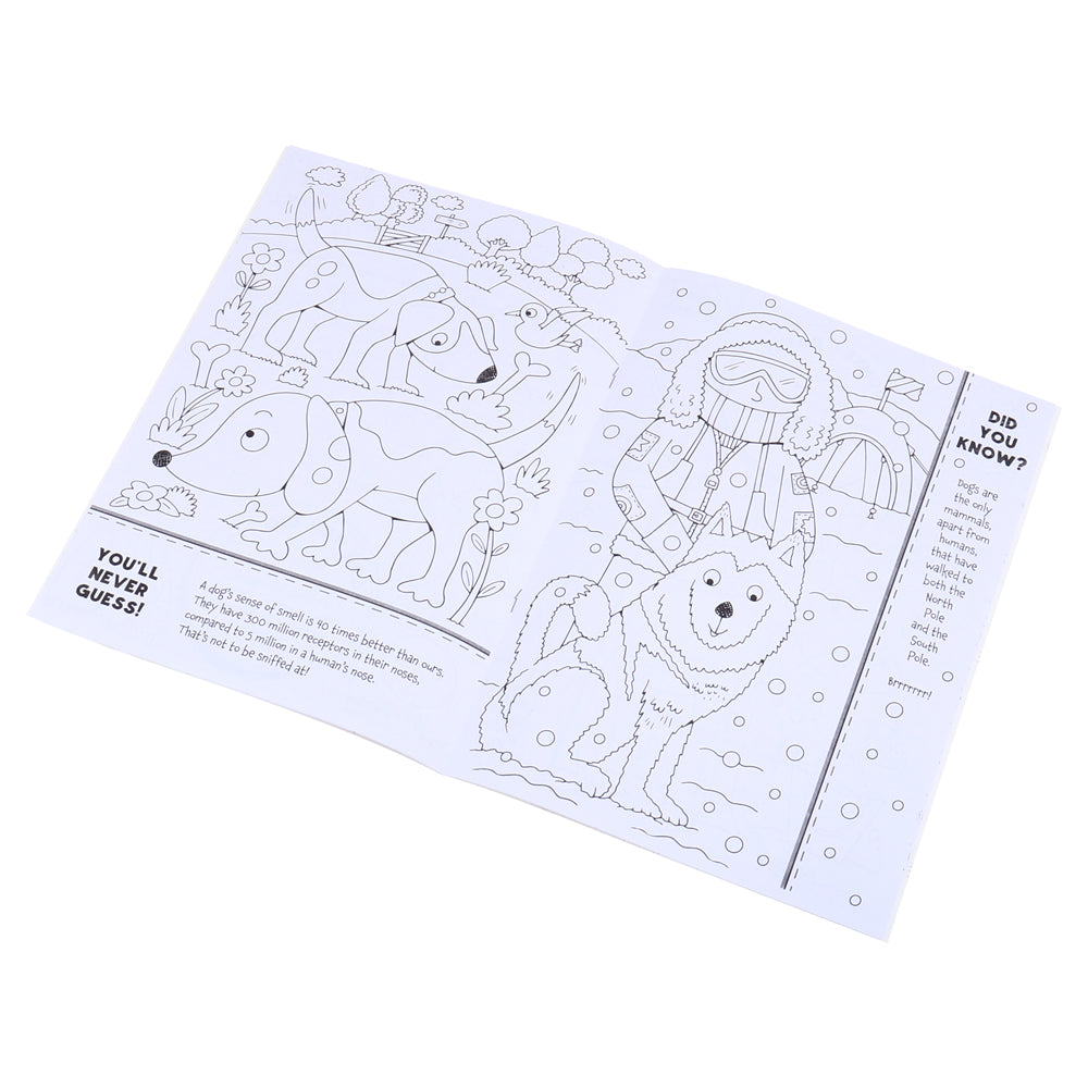 Colouring Book Facts A4 – Assorted Covers