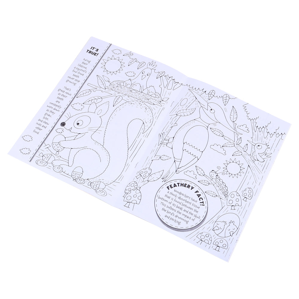 Colouring Book Facts A4 – Assorted Covers