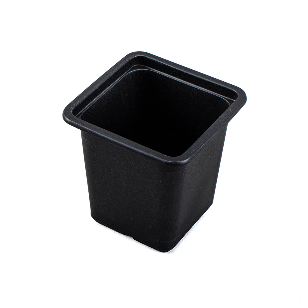 Square Seedling Pots Black 15 Pack