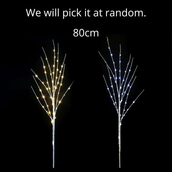 LED Birch Branch Light B/OP 80cm Asst