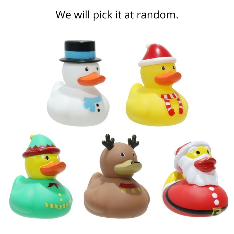 Christmas Duck SRT Asst