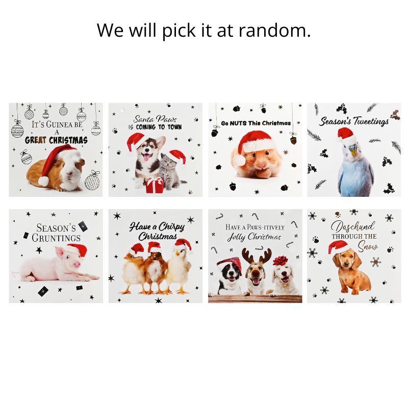Cards Pet Foiled SQ 10pk Asst