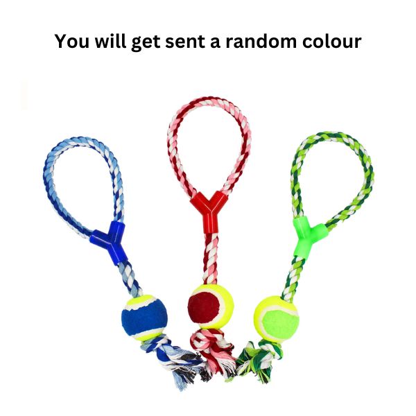 Dog Rope Toy with Ball image 0