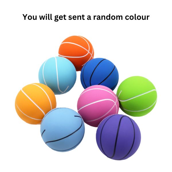 Pet Toy - Basket Ball image 0