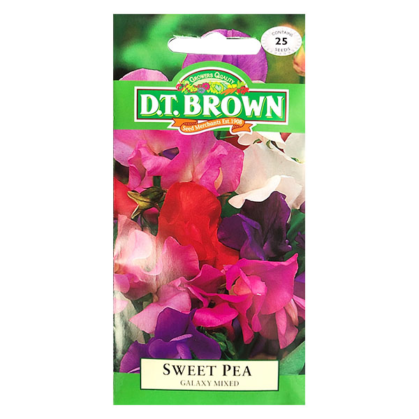 Galaxy Mixed Sweet Pea - Flower Seeds image 0
