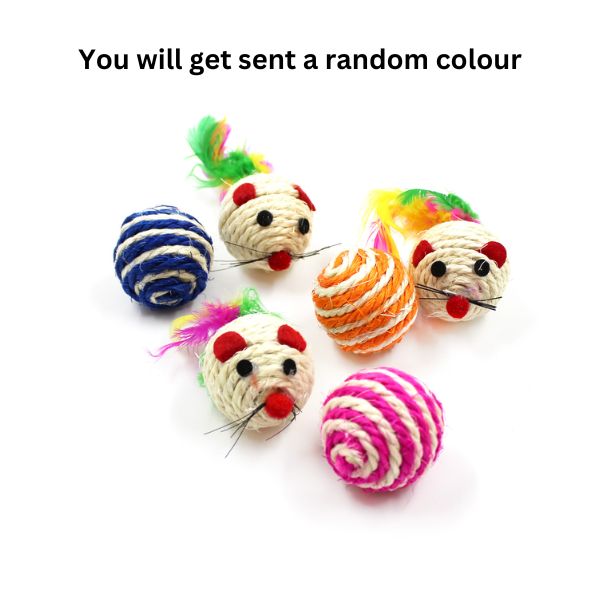 Cat Toys - 1 Mice+ 1 Ball image 0