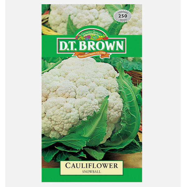 CAULIFLOWER Snow Ball image 0