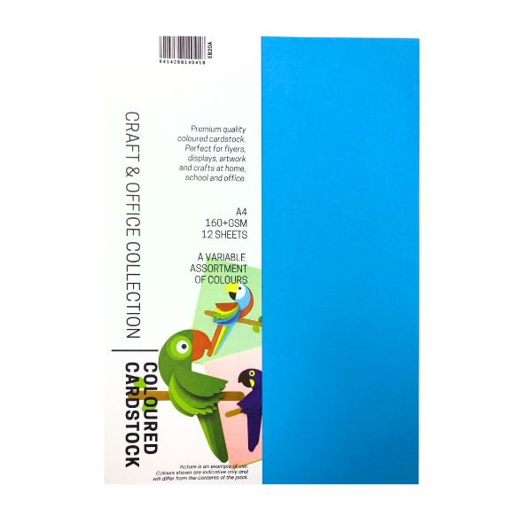 PREMIUM Card A4 12pk Asstd Brights & Pastels image 0