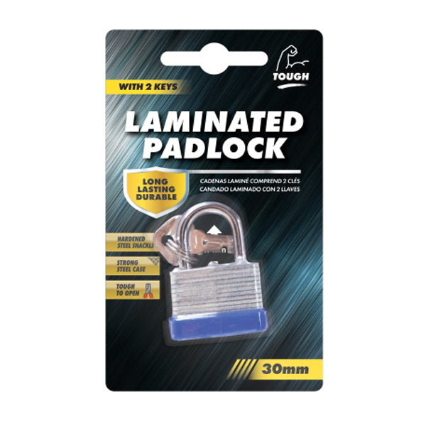 PADLOCK LAM.STEEL 30MM image 0