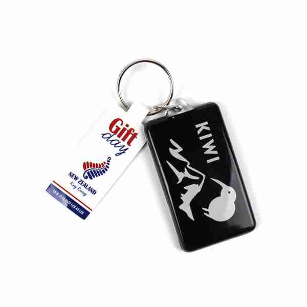 Souvenir KeyRing - Acrylic Rect Kiwi image 0