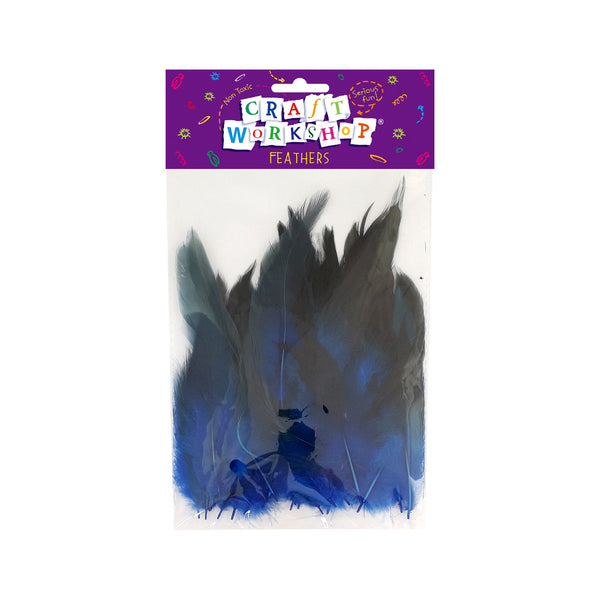 Craft Feathers Blue 12-18cm 5g image 0