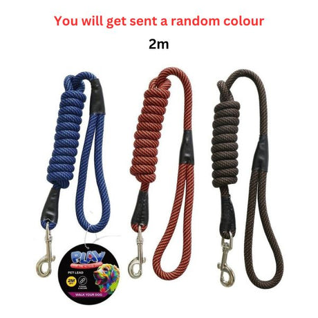 Pet Lead Cord 2m 3 Asst image 0
