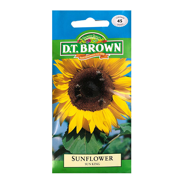 Sun King Sunflower - Flower Seeds image 0