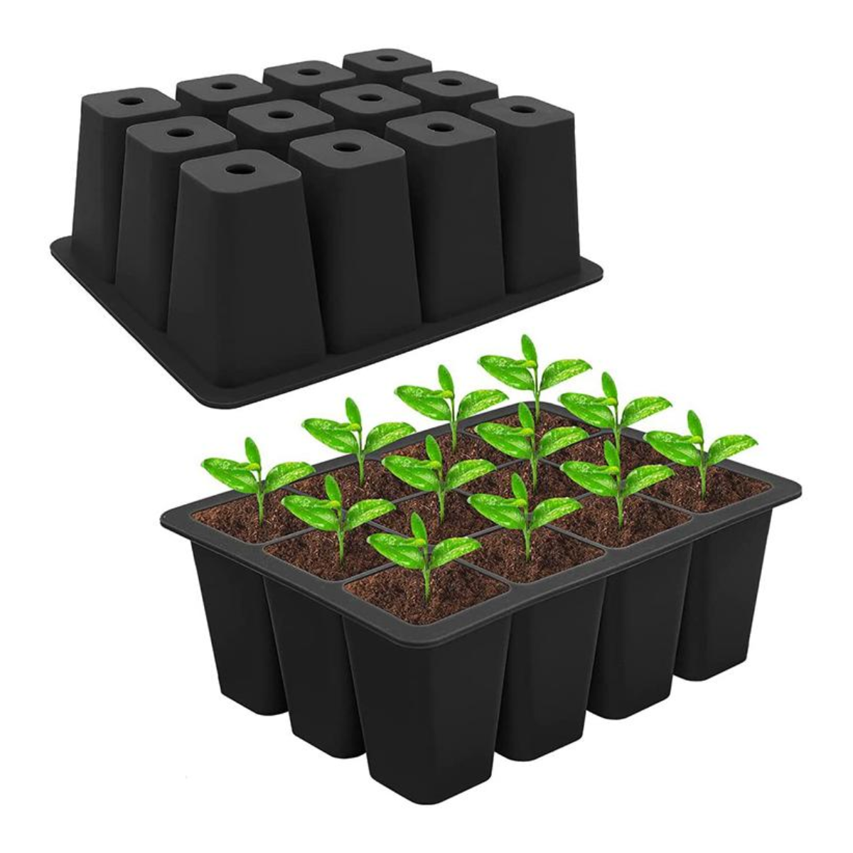 12 Pod Seedling Tray 3 Pack
