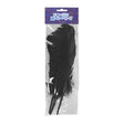 Craft Feathers Quill Black 31cm 3pc image 0